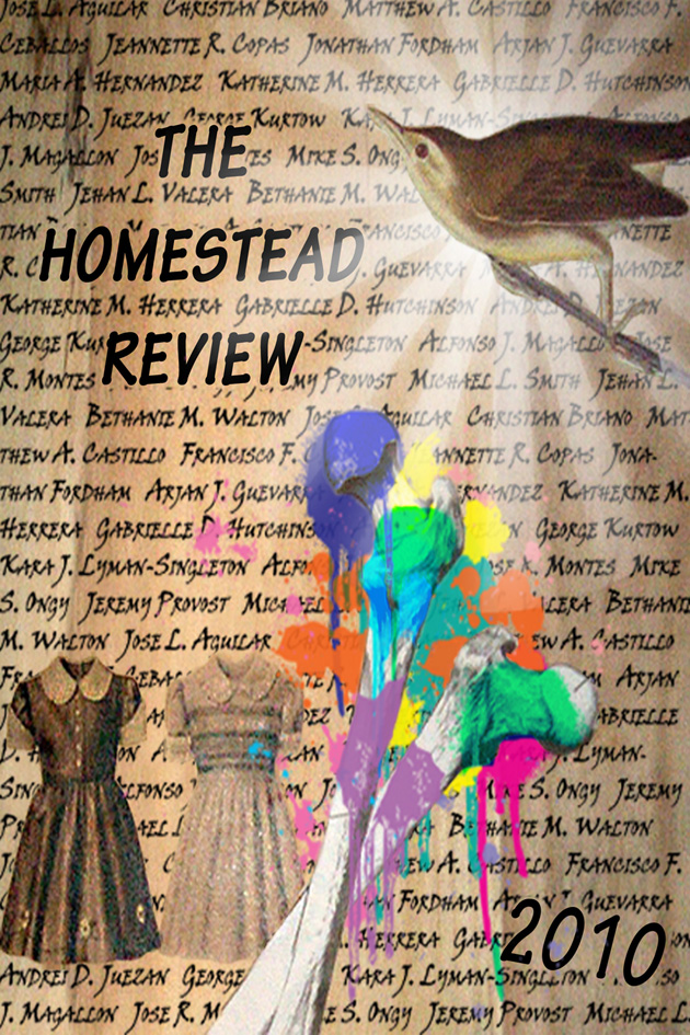 Cover of 2010 Homestead Review