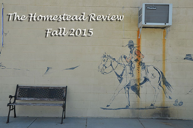 Cowboy Stain Cover Photos/></a><br>
      </p>
      <p>
      </p>
      <p><em><strong><font face=